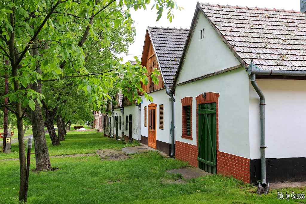 Pályázati lehetőségek a Duna Összeköt Egyesületnél