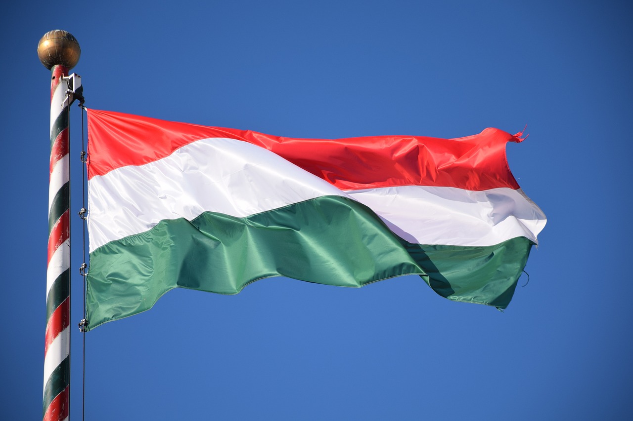 Választás 2026